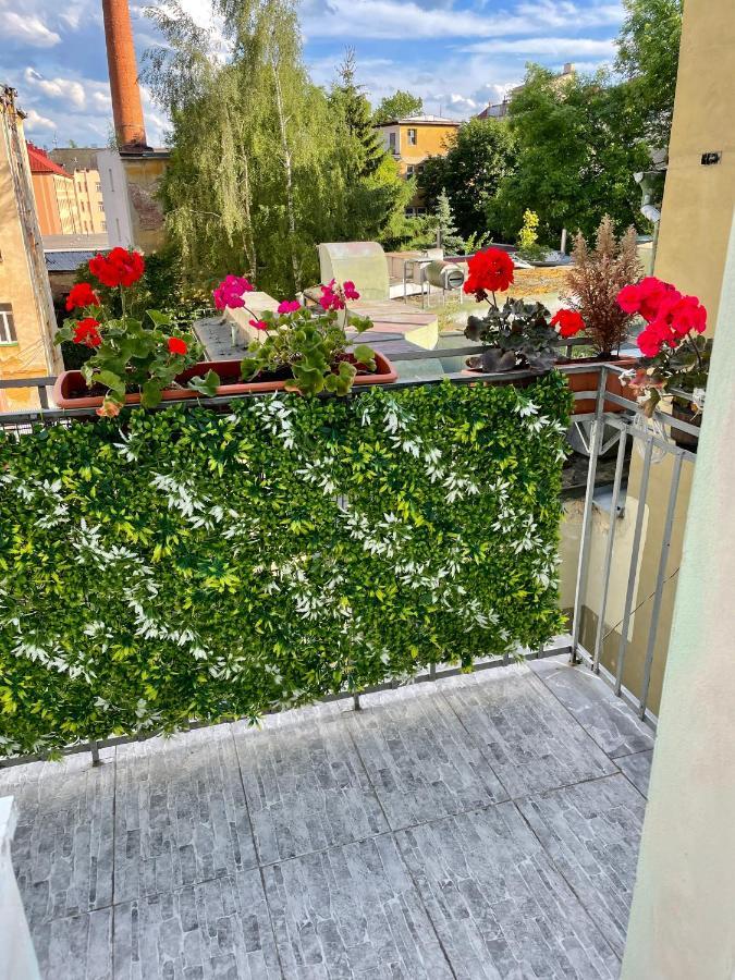 Pension Majovka Хеб Екстериор снимка